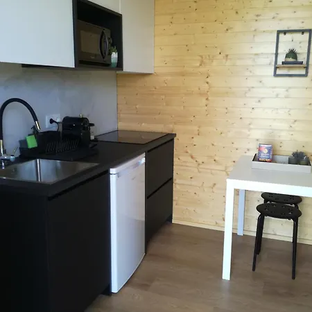 Casa Gaifar Piscina Holiday home *